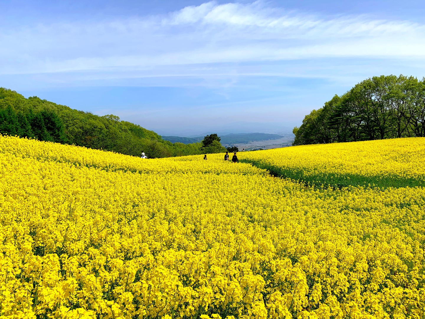 喜多方 熱塩温泉 山形屋 公式hp 最低価格保証